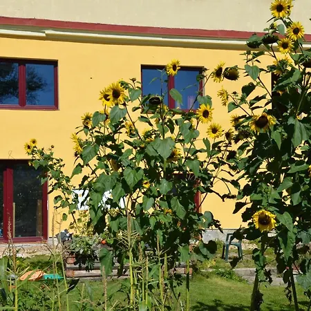 Apartman Nad Potokem Český Rudolec